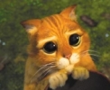 [Bild: attachment.php?attachmentid=26362&d=1175976150]
