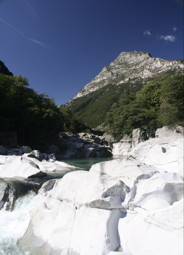 [Bild: attachment.php?attachmentid=33509&stc=1&d=1189017946]