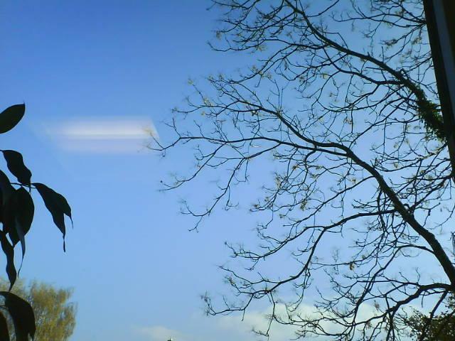 [Bild: attachment.php?attachmentid=36097&stc=1&d=1193315157]