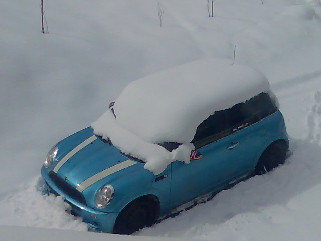 [Bild: attachment.php?attachmentid=40449&stc=1&d=1206533242]
