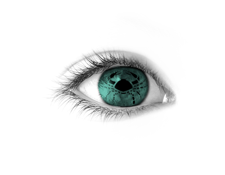 [Bild: attachment.php?attachmentid=47796&stc=1&d=1222877756]