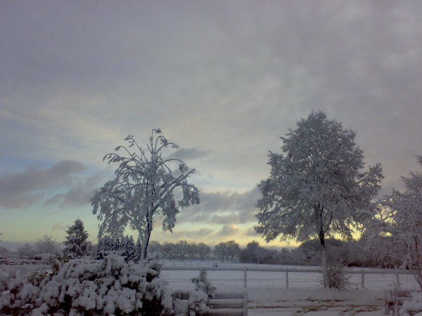 [Bild: attachment.php?attachmentid=49292&stc=1&...360866.jpg]