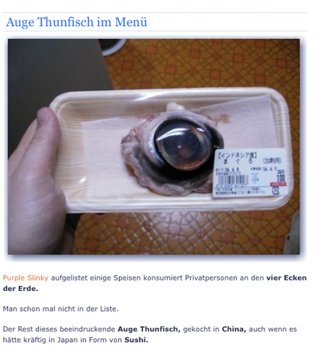 [Bild: attachment.php?attachmentid=53198&stc=1&d=1238416820]