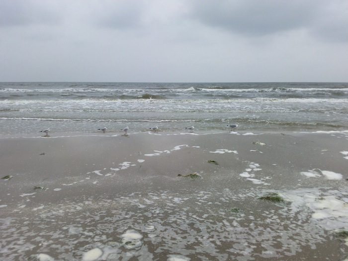 [Bild: attachment.php?attachmentid=59860&stc=1&d=1256301874]