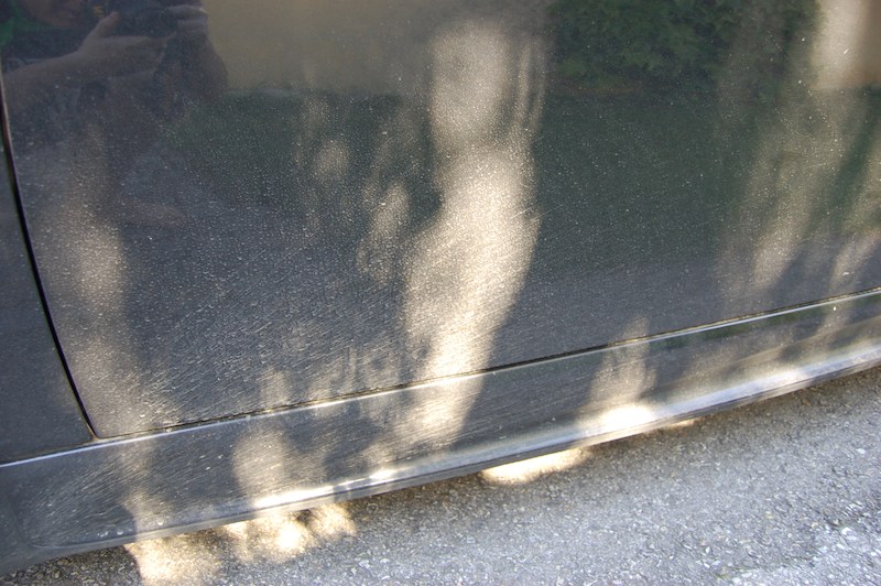[Bild: attachment.php?attachmentid=65981&stc=1&d=1275754788]