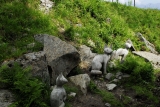 [Bild: vorarlberg_0063_nef_thumb.jpg]