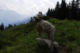 [Bild: vorarlberg_0064_nef_thumb.jpg]