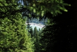 [Bild: vorarlberg_0109_nef_thumb.jpg]
