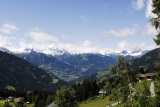 [Bild: vorarlberg_0250_nef_thumb.jpg]
