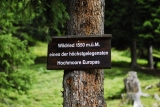 [Bild: vorarlberg_0275_nef_thumb.jpg]