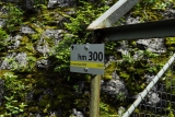 [Bild: vorarlberg_0599_nef_thumb.jpg]