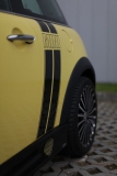 [Bild: bumblebee_5_thumb.jpg]