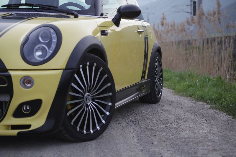 [Bild: bumblebee_9.jpg]