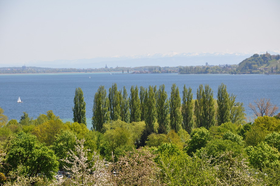 [Bild: dsc_21943_bodensee_2016_min.jpg]