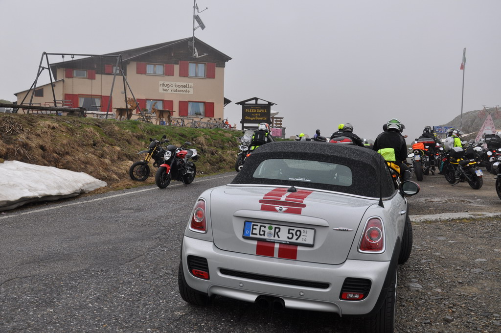 [Bild: dsc_22404_gavia_min.jpg]