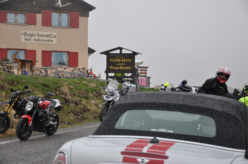 [Bild: dsc_22405_gavia_min.jpg]