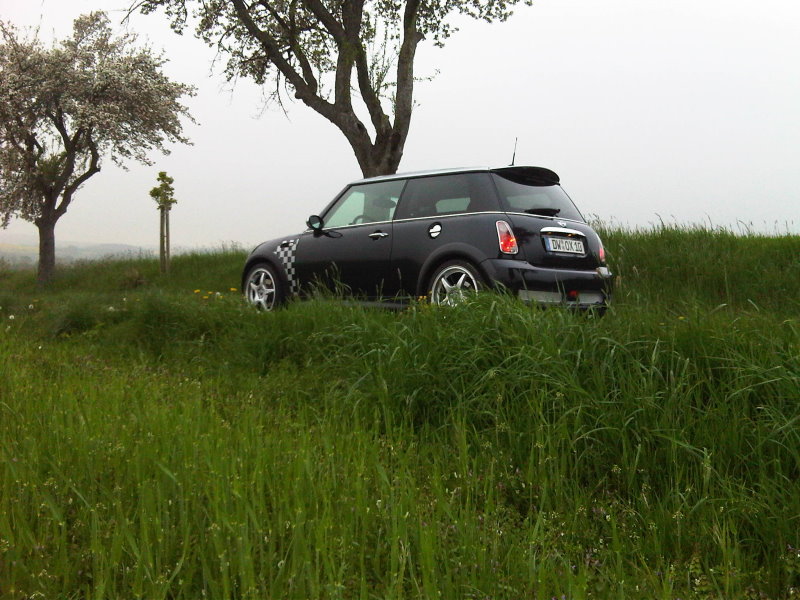 [Bild: img00177_20100511_1953.jpg]