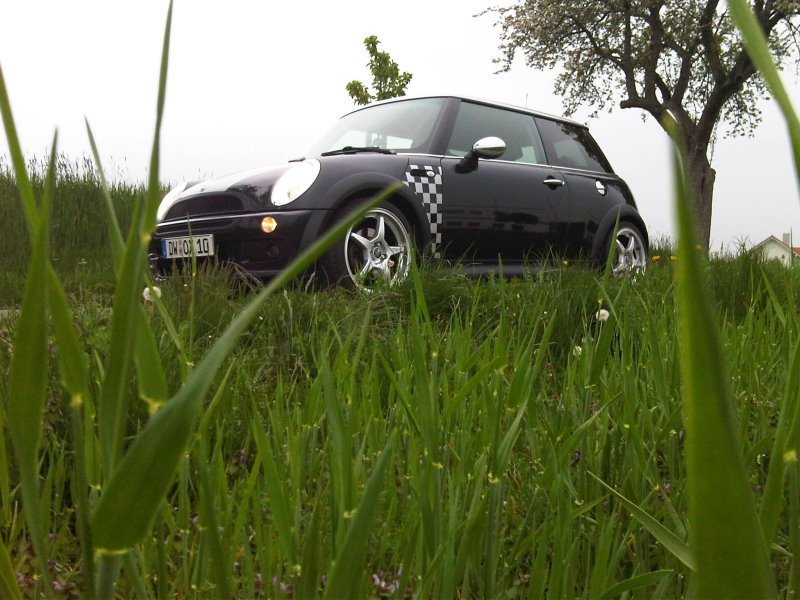 [Bild: img00186_20100511_1955.jpg]