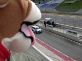 [Bild: mini_trophy_red_bull_ring_2013_05_thumb.jpg]