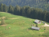 [Bild: urlaubs_st_2009_08_01_07_thumb.jpg]