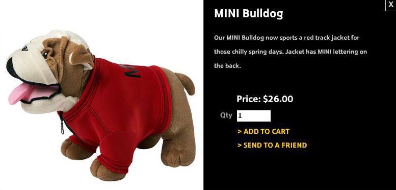 [Bild: minibulldogwithjacket.jpg]