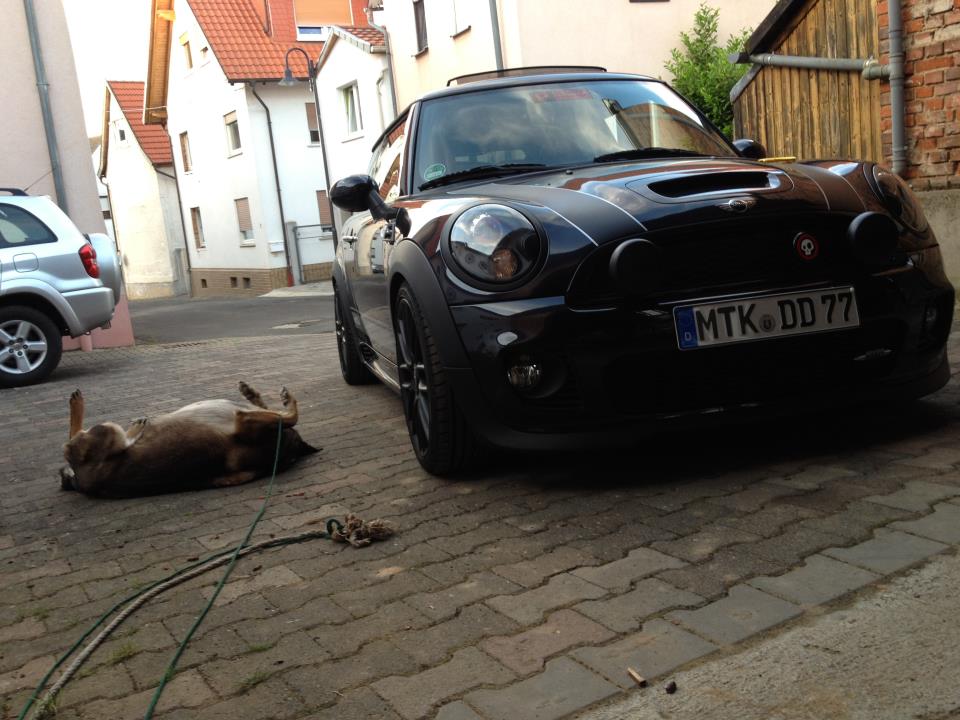 [Bild: 527640_458675904146933_100000135822135_1...4666_n.jpg]