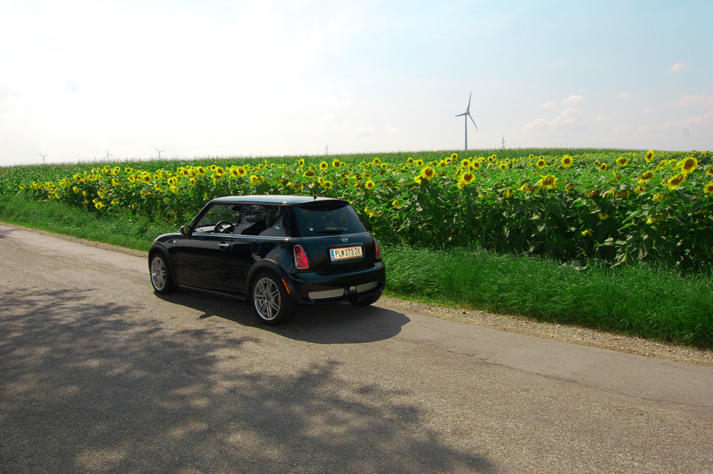 [Bild: dsc_0007.jpg]