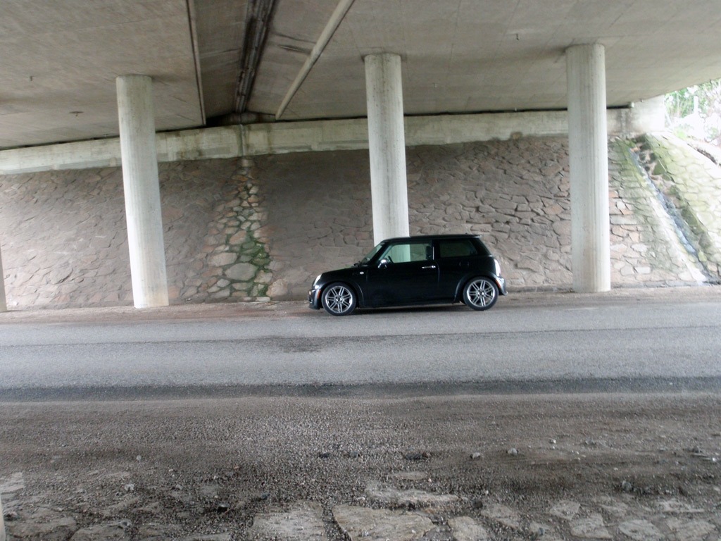 [Bild: p6030191.jpg]