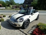 Mini 1
