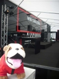 Bulldogs