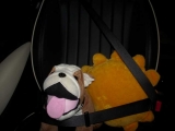 Bulldogs