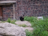 Leipzig Zoo 21.06.09