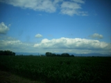 Tag 8