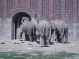 Leipzig Zoo 21.06.09