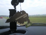 Kurvenwunderbaum