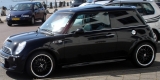 Team Dynamics Jet Black