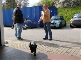 Schubber-we. In Bischofswerda