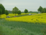 Meck.-pomm. Treffen 2012