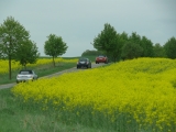 Meck.-pomm. Treffen 2012