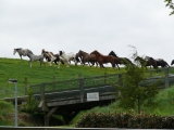 Meck.-pomm. Treffen 2012