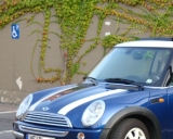 Mini Ohne Weng Px