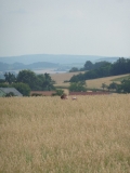 P1030258