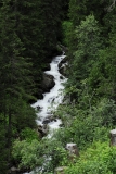 Vorarlberg 0284 Nef
