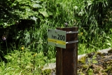 Vorarlberg 0588 Nef