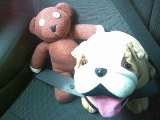 Davey Und Kumpel Beany