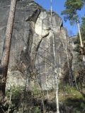 Res01181
