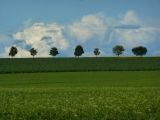On The Horizon