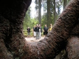 Crossing Alps 2011