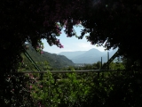 Crossing Alps 2011