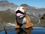 Crossing Alps 2011
